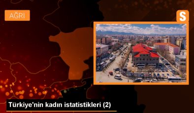 Türkiye’de Kadın Milletvekillerinin Oranı Artarken, Kadın Büyükelçilerin Oranı da Yükseldi